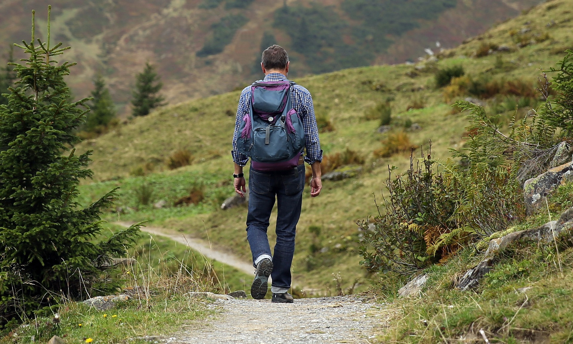 10 Safety Tips For Hiking Beginners